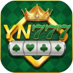 YN 777
